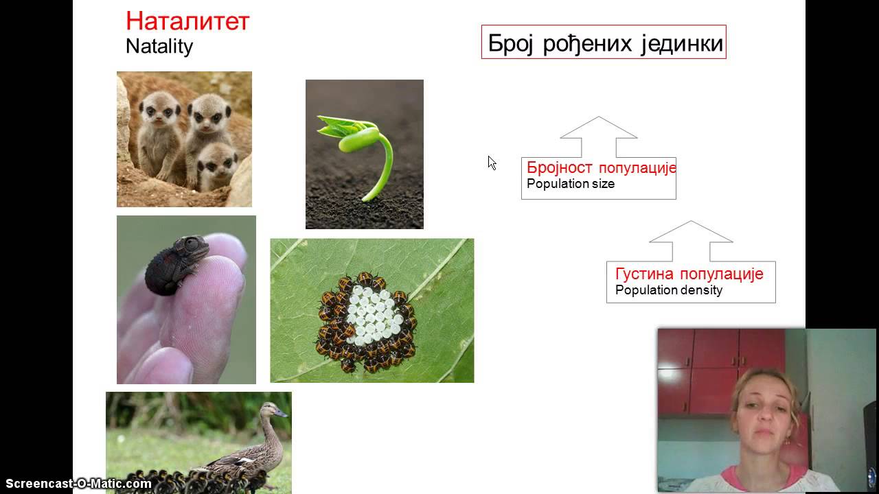 Izokrenuta učionica -- Populacija