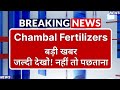 Chambal Fertilizers Stock Latest News ⚫ Chambal Fertilizers Stock News Today ⚫ Stock Market