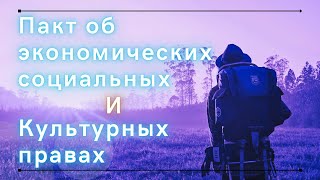 Изучаем международное право