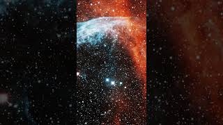 Wolf-Rayet 134 #astronomy #space #science #universe #shorts