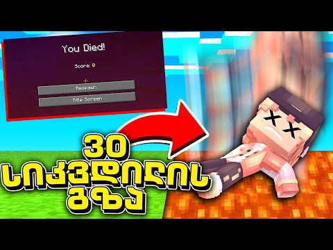 ვიდეო: Minecraft– ში პერსონალური რუქის დაკვრის 3 გზა