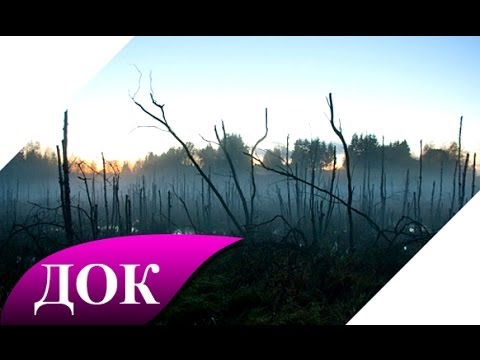 Аномальные зоны Земли: Урочище Шушмор и Медведицкая гряда. Документальный фильм