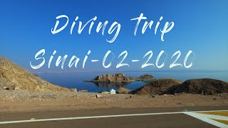 Diving trip - Sinai 2020