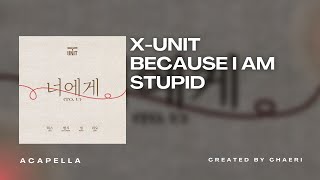 CLEAN ACAPELLA | X-UNIT 엑스유닛 - 내 머리가 나빠서 (Because I'm Stupid)