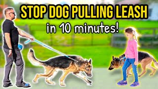 HOW TO STOP DOG PULLING ON LEASH  10 minutes to 'Perfect Walk' Guaranteed!