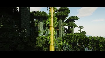 SEUS PTGI E11 - RAY TRACING - Rudy for Minecraft Resource Pack - Bamboo
