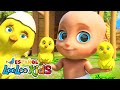 🐤🐥Los Pollitos Dicen Pio Pio y las mejores Canciones Infantiles para niños - looloo kids español