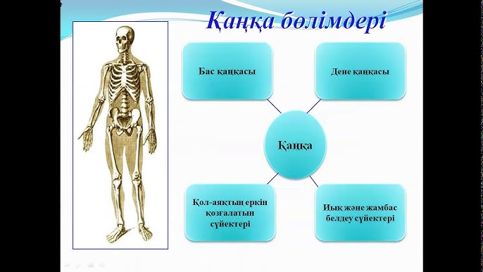 Великая Багачка ауылындағы тірек құрылымы Великая Багачка ауылындағы тірек құрылымы