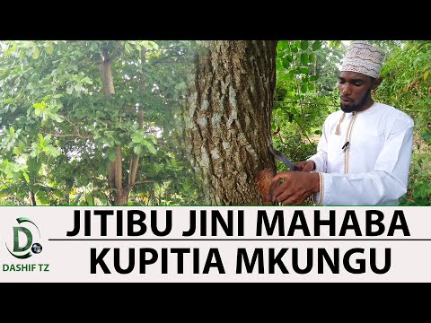 Video: Je, ninawezaje kupanga jini langu la keychain kwa mbali?