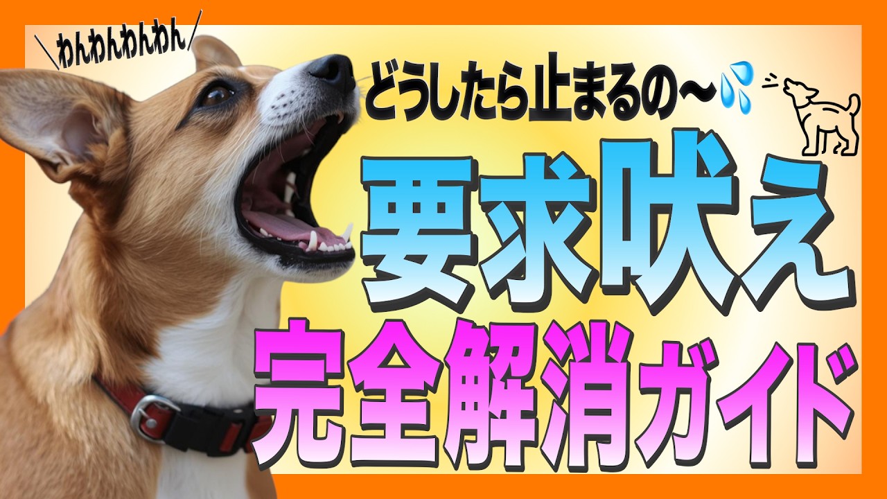 【犬のしつけ】犬の要求吠えへの対処法をわかりやすくまとめました！