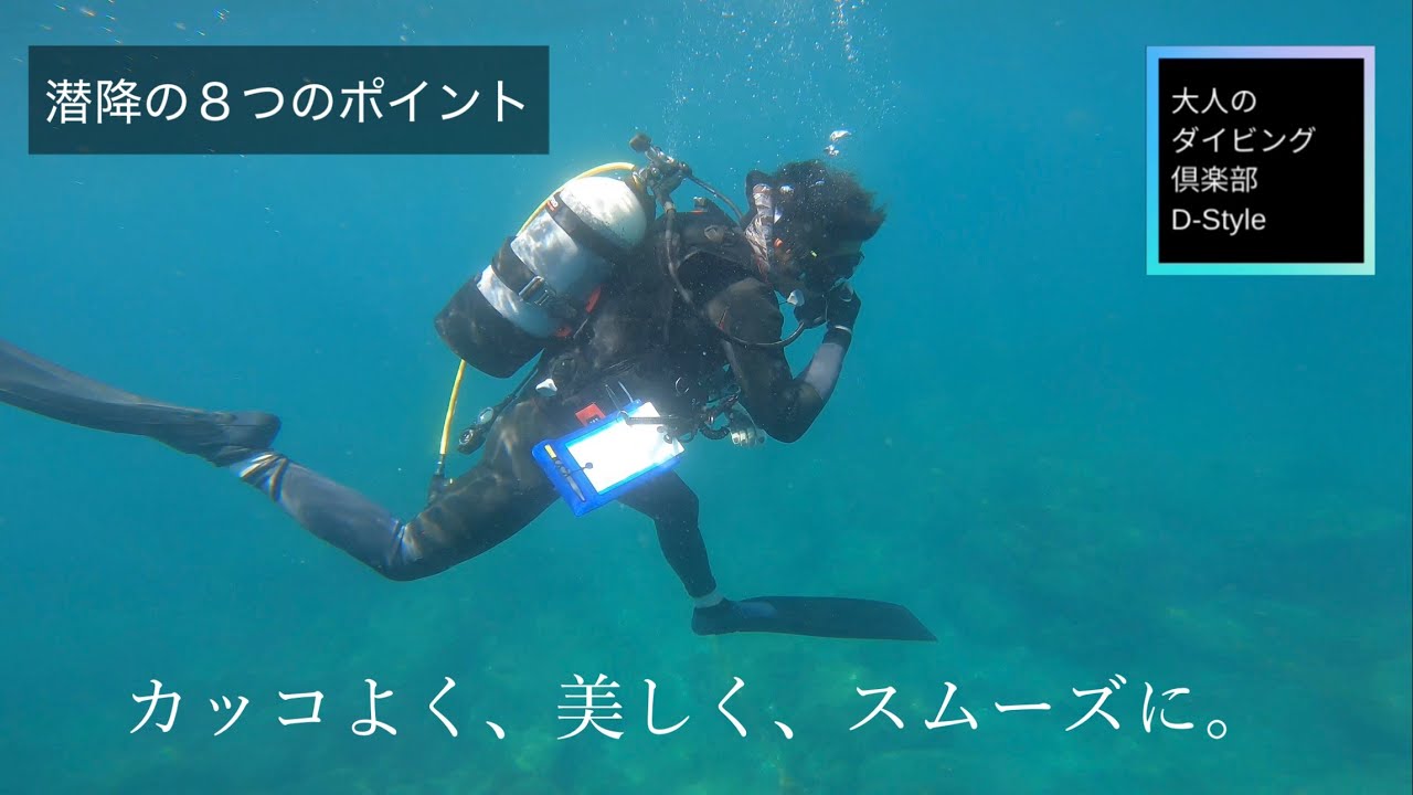 ダイビング潜降の基本【フリー潜降まとめ】ダイビングフリー潜降完全攻略。カッコ良く、美しく、スムーズに。