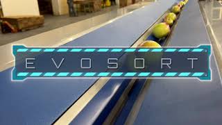 EvoSort | 1-lane | Apples Profile