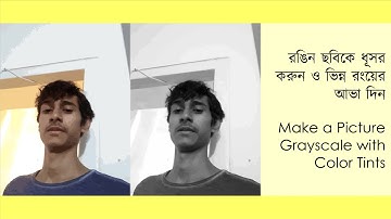 Make a Picture Grayscale with Color Tints in Adobe Illustrator