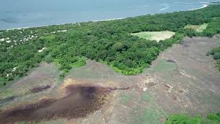 Higbee Beach - Drone Video - Marsh Project Area