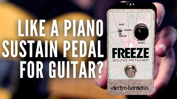 Electro Harmonix Freeze Sound Retainer Guitar Pedal | Sound Demo (No Talking)