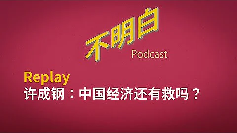 【精选】许成钢：中国经济还有救吗？ - 天天要闻