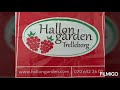 Picking Strawberries#Hallongården#an idyllic spot in southern Skåne: Malmö, Sweden.