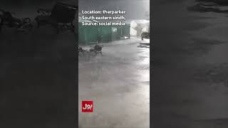 Heavy Rainfall in tharparker south eastern sindh | Weather Forecast Updates | BOL News #shorts