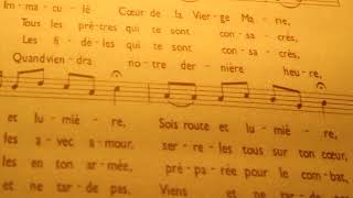 Hymne du msm