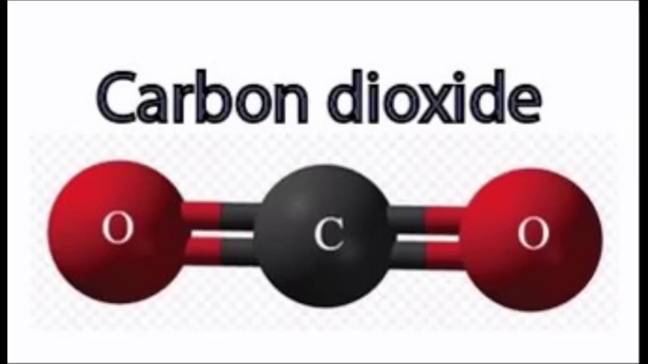 Carbon oxygen carbon dioxide