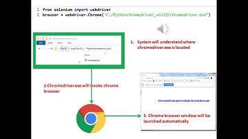 Selenium python - How to launch Chrome Browser