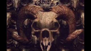 Awakening Of The Liar