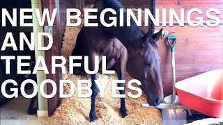 New Beginnings and Tearful Goodbyes