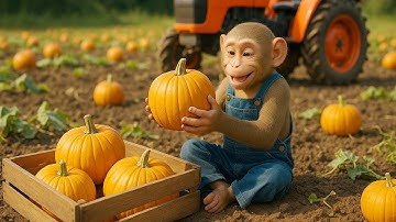 Farmer Monkey