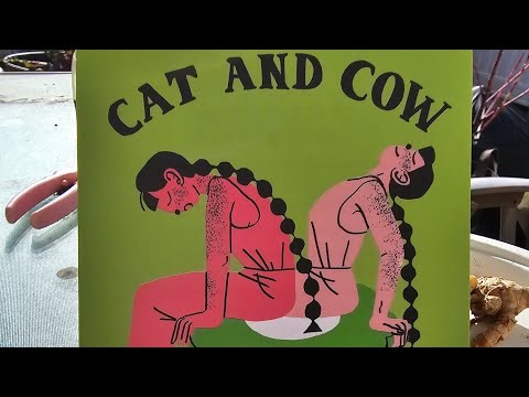 Week 9 of Desk Yoga: Cat and Cow Calming Stretch