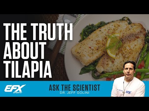 tilapia exist disadvantages scientist truth ask