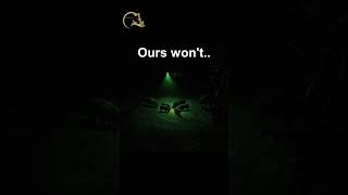 Hogfader Illuminator hog hunting feeder light. Visit HOGFADER.COM #hoghunting #hunting #feederlights