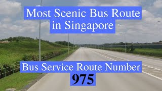 [4K] Most Scenic Bus Route in Singapore (Bus Service Route Number 975)