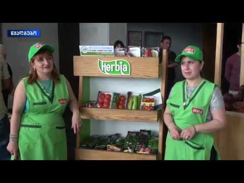 „იმერეთის აგრო-ტურისტული ფესტივალი“,  დღეს წყალტუბოში გაიმართა