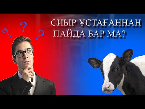 Бейне: Етті ірі қара мал тұқымы: өсіру бойынша кеңестер мен ерекшеліктері