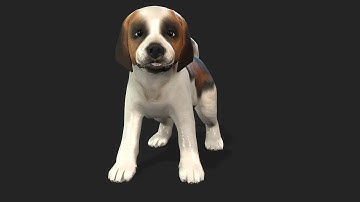 Puppy Dog - UNREAL ENGINE 5