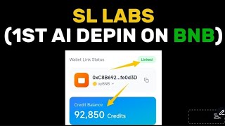 Start SL LABS, connect wallet, total supply + all You should know screenshot 3