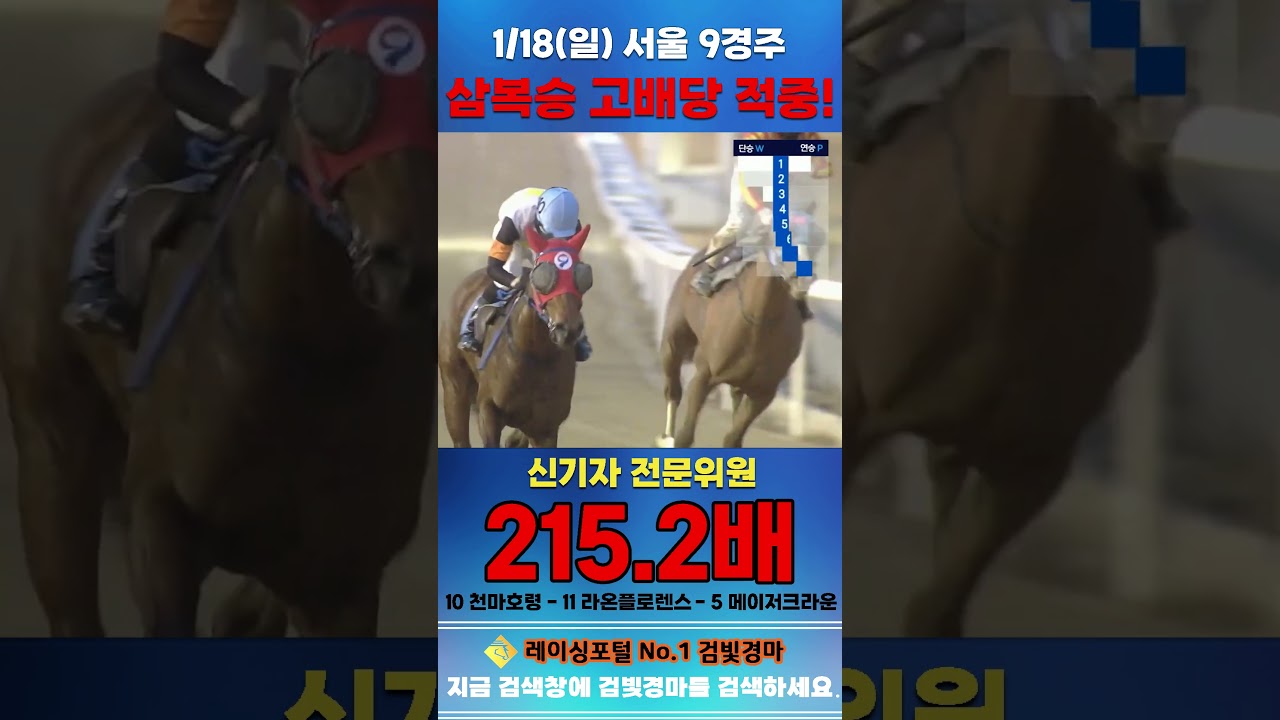 [서울 경마] 1월 18일 일요 9경주 신기자 전문위원 삼복승 고배당 적중 #경마 #automobile #하이라이트 #horse #한국마사회 #게임 #비트코인