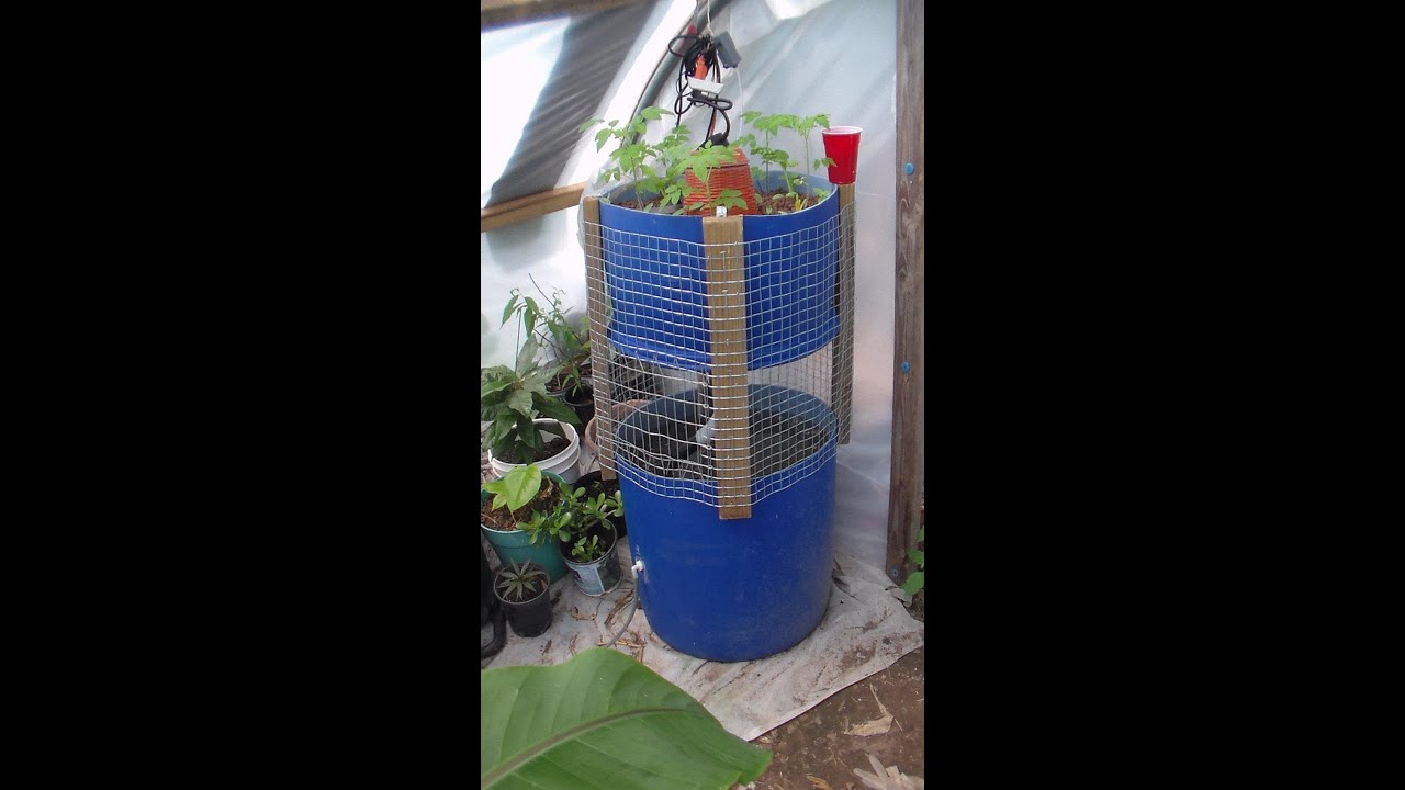 Small Aquaponics System DIY - YouTube