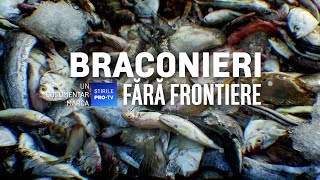 ROMÂNIA, TE IUBESC! - BRACONIERI FĂRĂ FRONTIERE