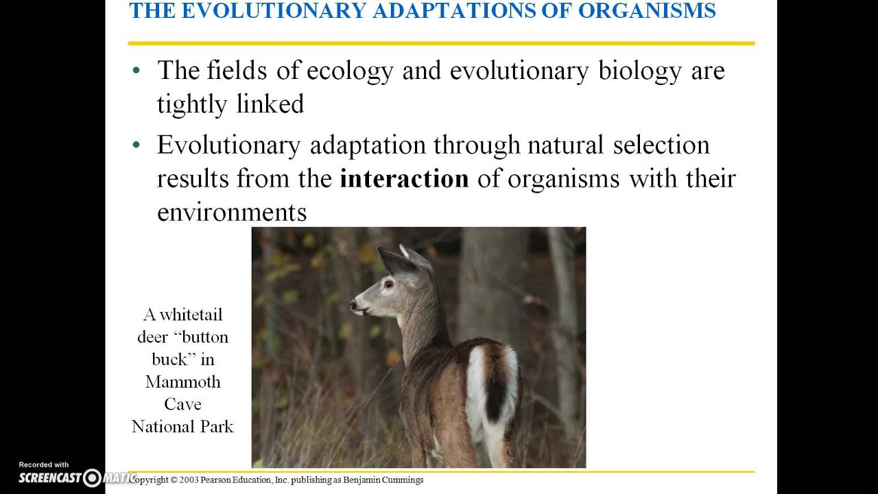 BIO 112 Chapter 18 Part 2