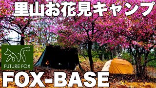 【FOX-BASE】実家の里山でお花見キャンプ　FUTUREFOX パップテント