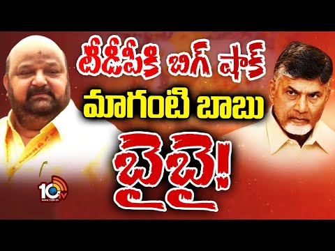 TDP Ex MP Maganti Babu Party Change? | మాగంటితో టచ్‌లో వైసీపీ, కాంగ్రెస్‌ | 10TV