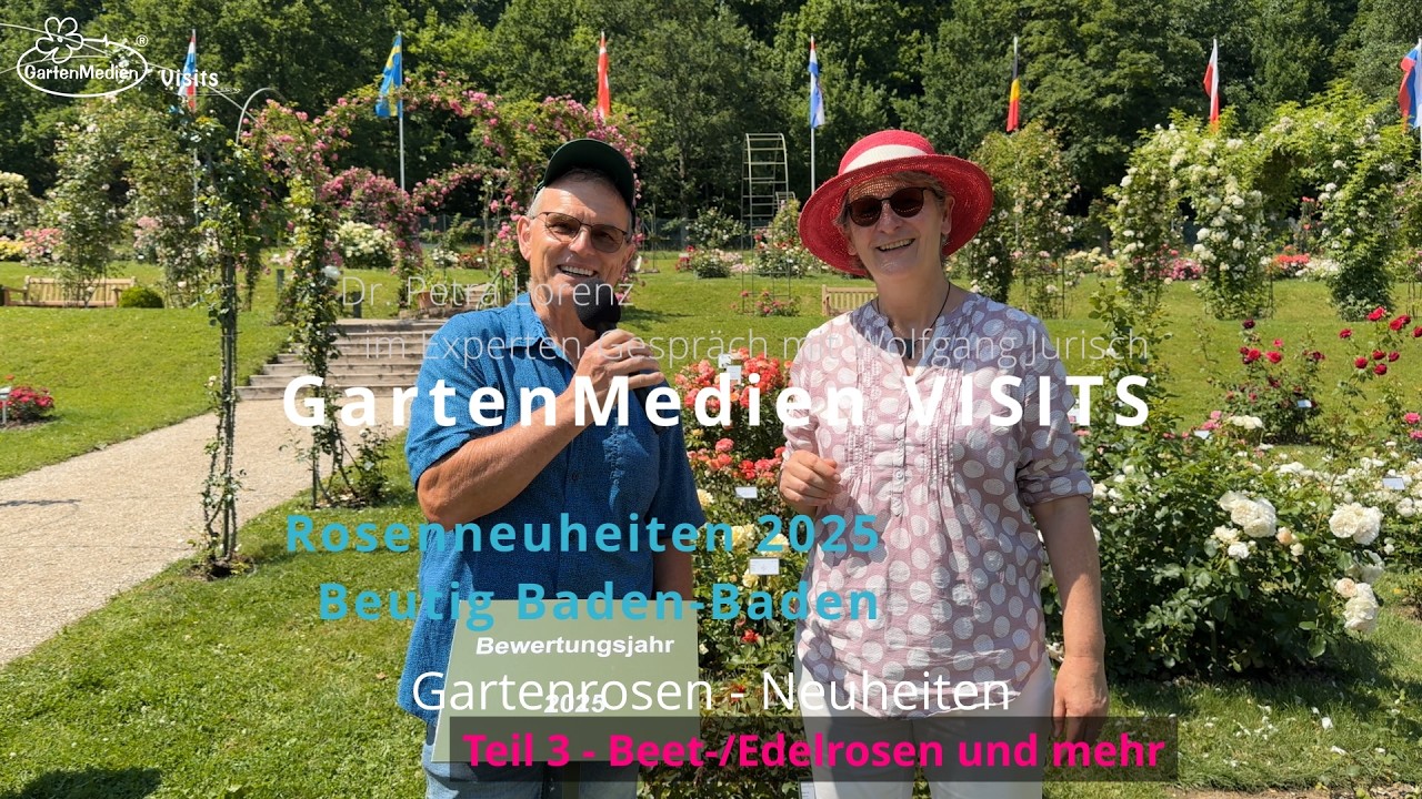 GartenMedien Visits - 