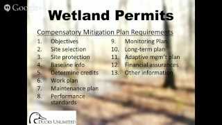 Wetland Permits