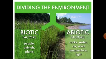 4C EVS FIELDS & FORESTS  HABITAT  GEETHARAVI