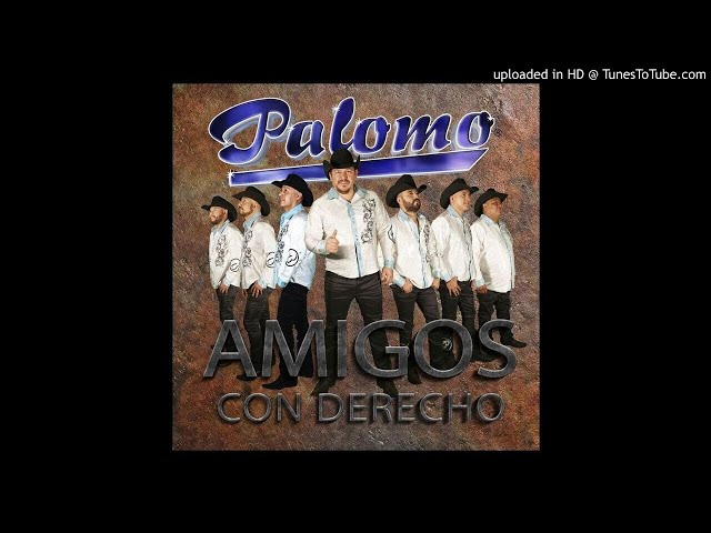 Palomo - Amigos Con Derecho