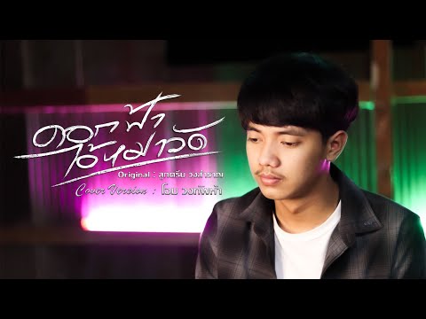 ดอกฟ้า ไอ้หมาวัด - โอม วงทัพห้า [Cover] | Original : ลูกดรีม วงสำราญ