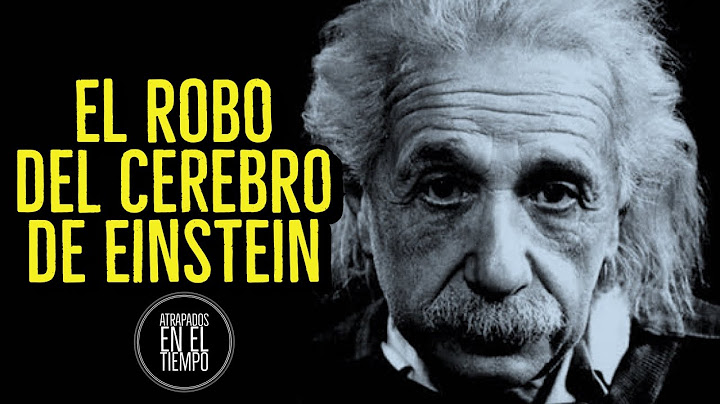 THE THEFT OF EINSTEIN'S BRAIN
