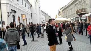 Video thumbnail of "Flashmob 1 decembrie 2012 Oradea (1)"