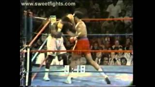 VESTIGE - Elephant (George Foreman VS Joe Frazier)